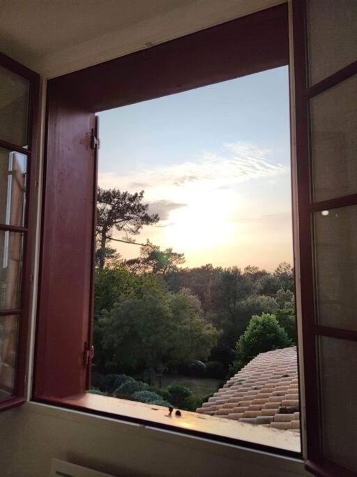 Arcachon Appartement 4 Personnes - Residence Beausejour Dış mekan fotoğraf