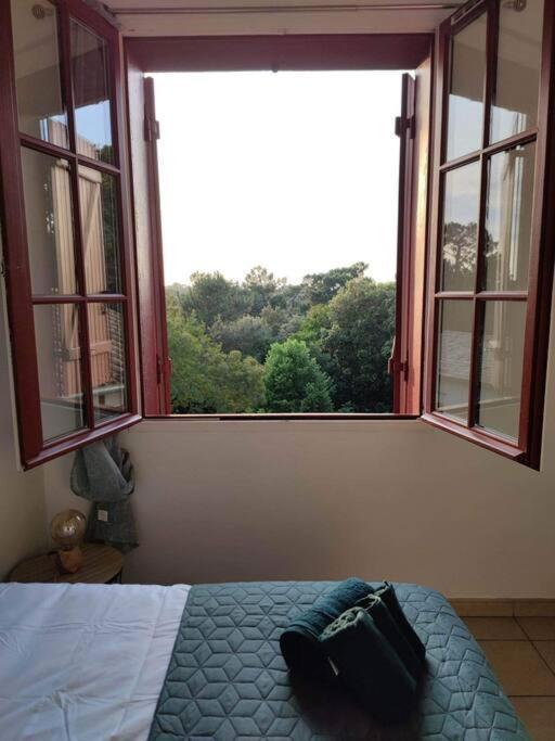 Arcachon Appartement 4 Personnes - Residence Beausejour Dış mekan fotoğraf